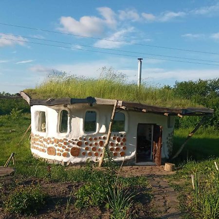 Сказочный Дом Villa Buki  Dış mekan fotoğraf