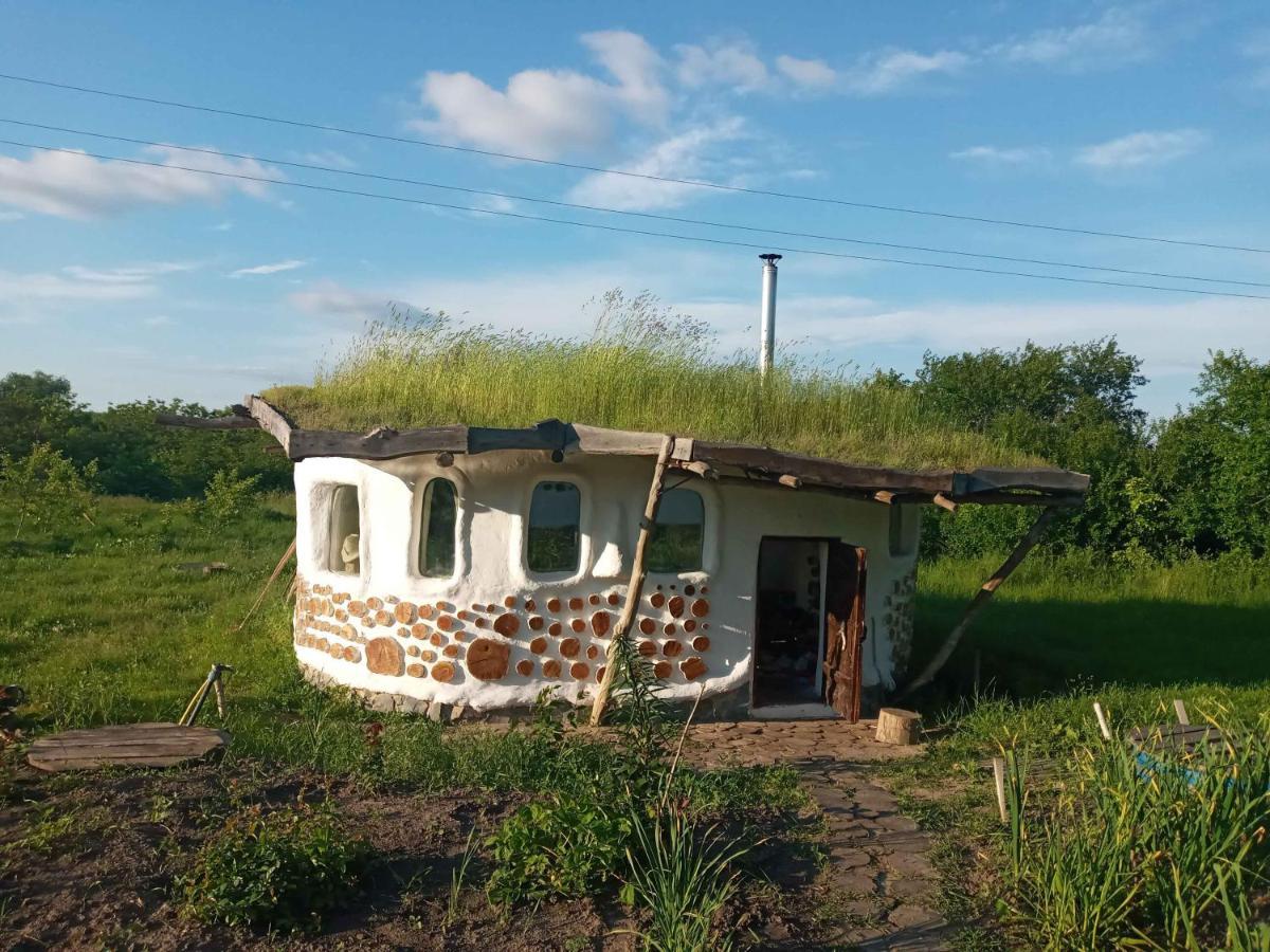 Сказочный Дом Villa Buki  Dış mekan fotoğraf